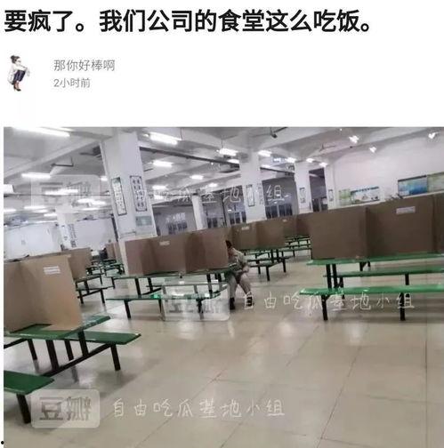 自由吃瓜基地小组,揭秘网络舆论场的狂欢与理性