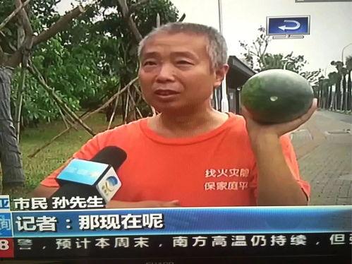 崇明吃瓜群众事件,揭秘网络舆论的风暴与反思