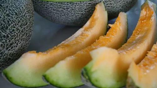 吃瓜清凉风拍照,镜头下的欢乐瞬间