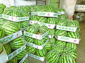 武武吃瓜,揭秘娱乐圈幕后故事