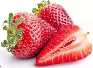 55吃瓜爆料,揭秘娱乐圈幕后真相