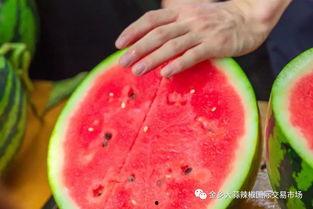 河北某学院吃瓜