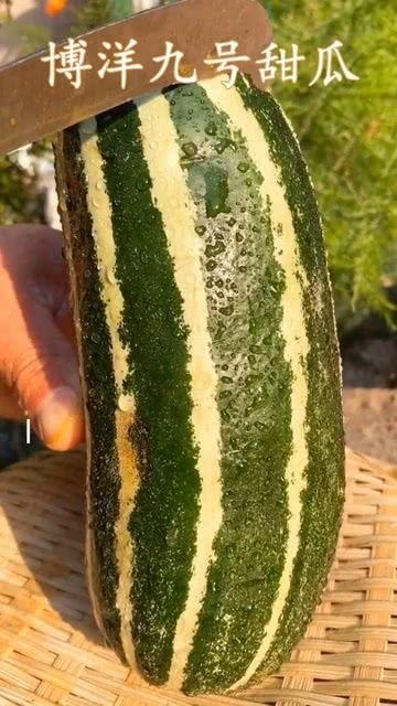 梦见吃熟了的瓜,揭秘吃熟瓜的梦境寓意