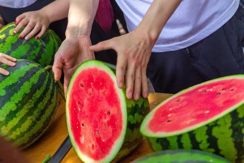 最新吃瓜视频学校,最新吃瓜视频揭秘校园幕后故事