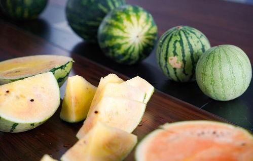 浙岱渔吃瓜,揭秘海鲜美食背后的故事