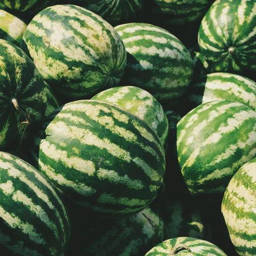 带吃瓜系统,网络舆论场的新宠儿