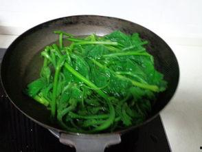 瓜尖叶子怎么炒着吃