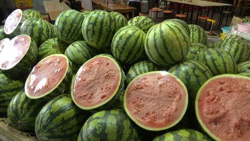 哪里有瓜吃,揭秘“哪里有瓜吃”的秘密