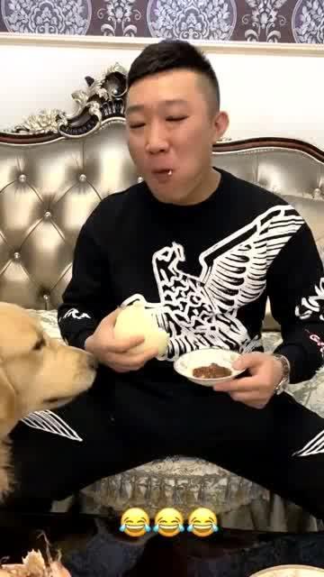 陈哇噻吃瓜,揭秘娱乐圈幕后故事