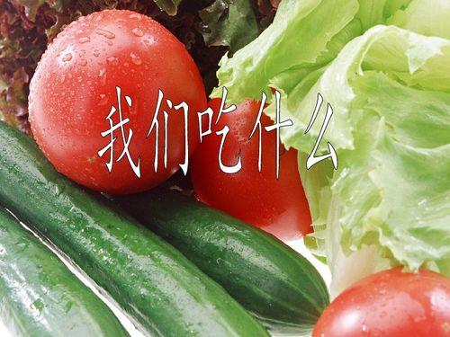 155页ppt吃瓜,一场视觉与知识的盛宴