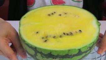 刀脚吃瓜,揭秘网络热词背后的趣味与哲理