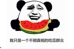 吃瓜行动什么意思,网络热议背后的真相与影响