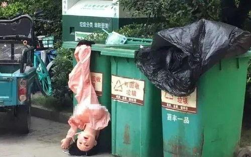 石家庄小区女尸吃瓜