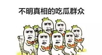 吃瓜的默契,揭秘吃瓜群众的默契瞬间