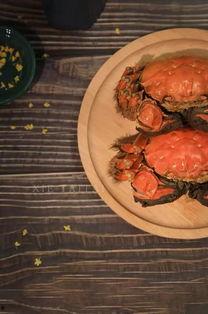 吃瓜蟹太太,揭秘美食界的神秘魅力