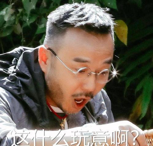 阿星吃瓜直播间,揭秘娱乐圈幕后故事