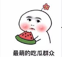 吃瓜群众又开始吃瓜了,新一轮瓜田大战一触即发！