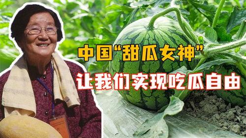 挑战吃瓜自由,揭秘网络舆论背后的真相与反思