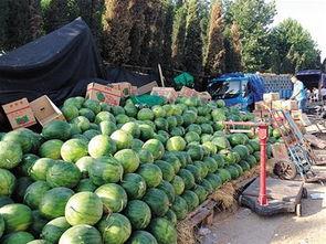 小天九吃瓜,揭秘娱乐圈背后的那些事儿