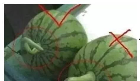 突然吃瓜有危害吗