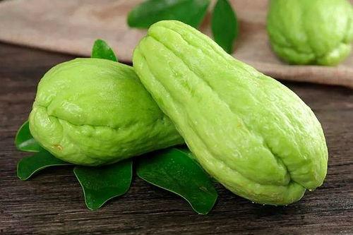 吃小乳瓜嘴巴发麻