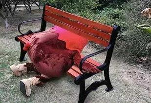 公园椅子吃瓜事件视频