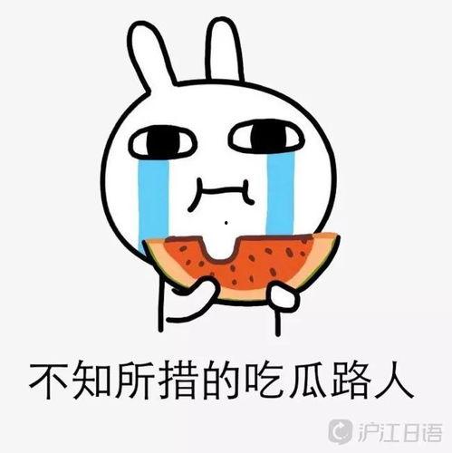 吃瓜君在日本,揭秘霓虹国美食与文化大揭秘