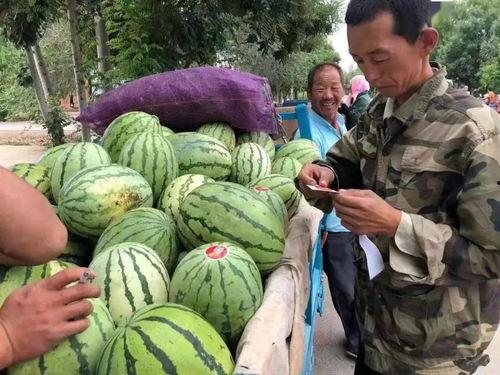 吃瓜去哪曝光,揭秘“吃瓜去哪”曝光背后的热点事件